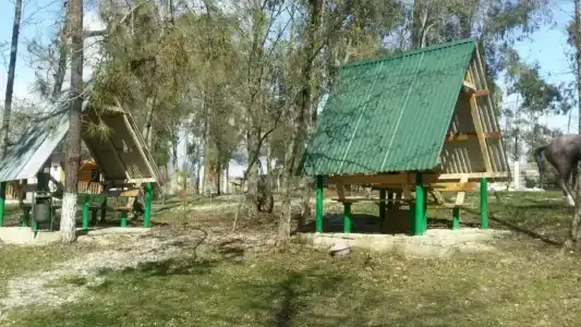 Ассир - 1