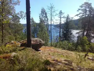 Хутор Нестора - 3