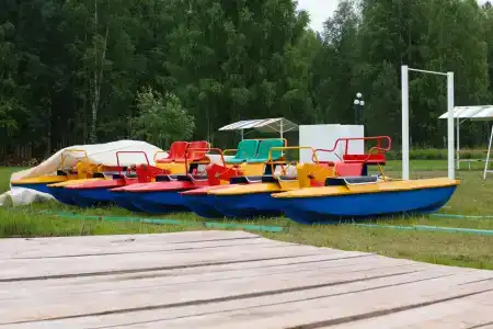 Березка - 2