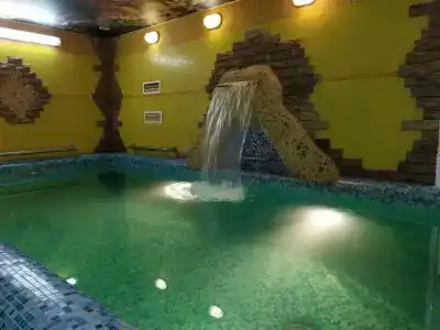 Дельфин - 0