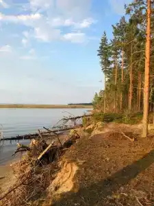 Курмойла - 24