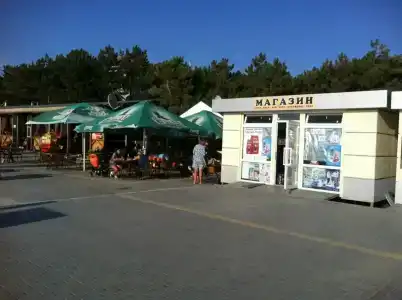 Ива - 14