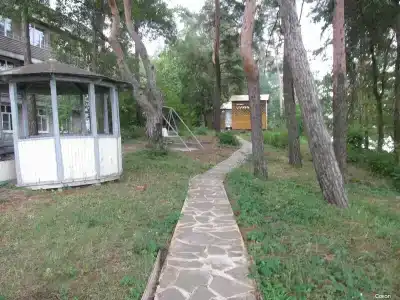 Сокол - 19