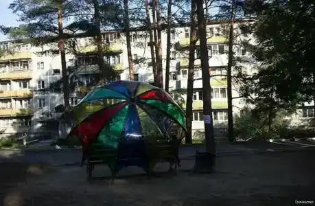 Зеленый бор - 7