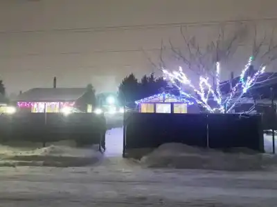 Кедр - 16