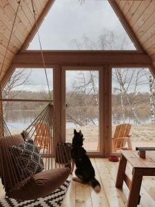 BOHO CAMP - 18
