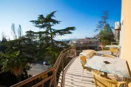 Виноград - 11