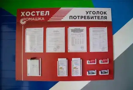 Ромашка - 9