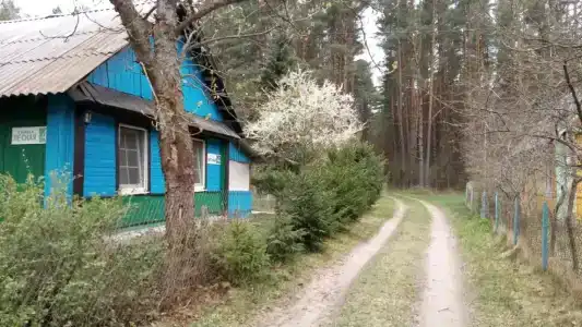 Озеро Белое - 8
