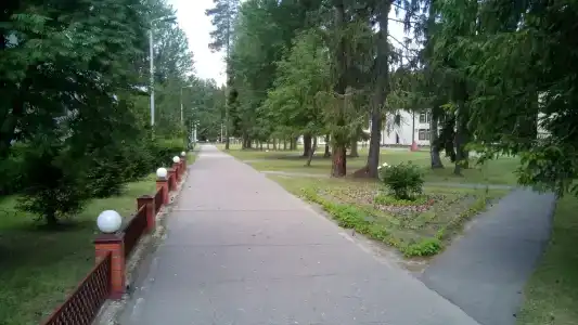 Санаторий-Профилакторий Лесная Поляна - 1