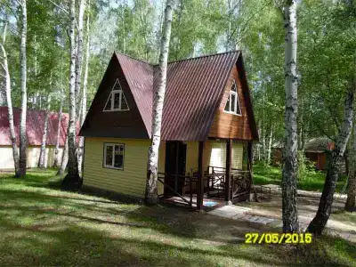 Солнечная поляна - 0