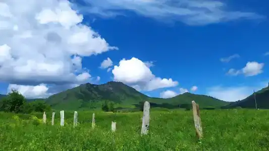 Лесная - 46