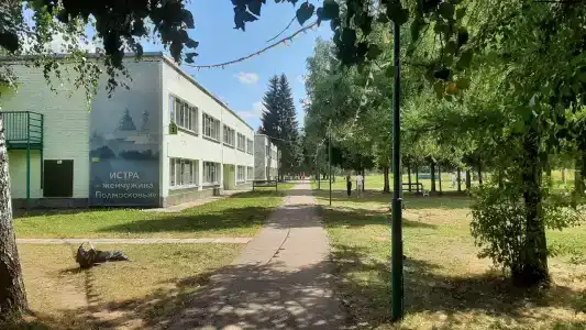 Зелёный остров - 85
