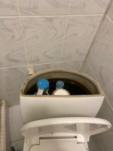 Кавказ - 26