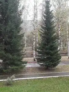 Фантазия - 46