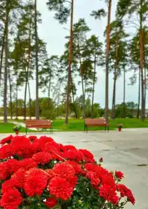 Славянка - 33