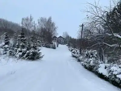 Медвежий угол - 26