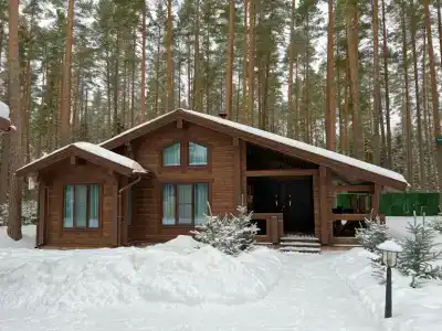 Vaalimo - 4