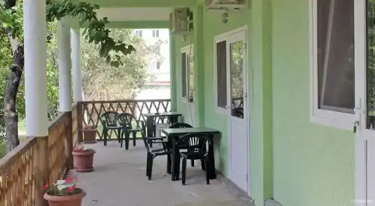 Зеленый двор - 0