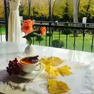 Родина - 11