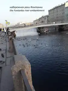 Матрасный Дворъ на Пяти углах - 7