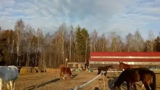 Ситское подворье - 32