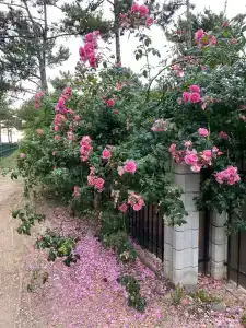 Песчаный берег - 22