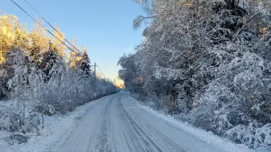 Норка - 18