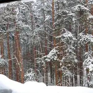 Пялово - 91