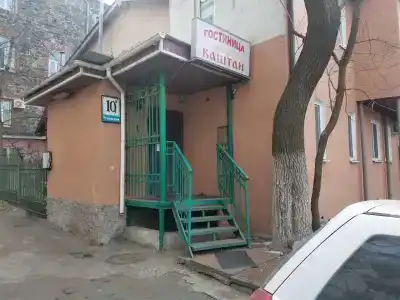 Каштан - 29