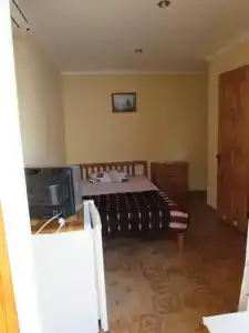 София - 40