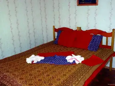 у Алины - 96
