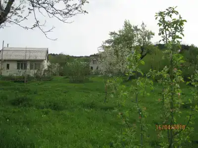 База отдыха у Иваныча - 29