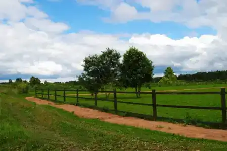 Емельяново - 58