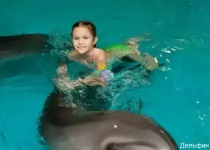 Дельфин - 12