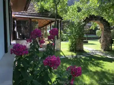 Eco Garden - 3