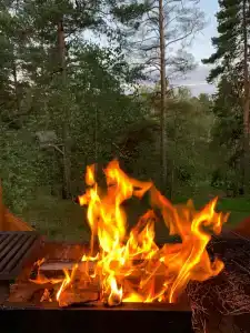 Избушка на опушке - 46