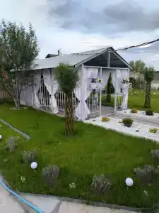 Бабочка - 1