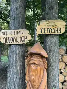 Лесовичок - 0
