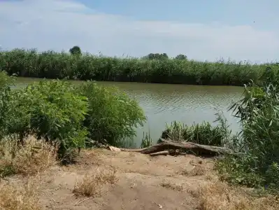 У Вадима - 21