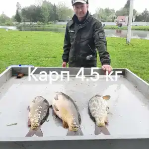 Орловка - 4