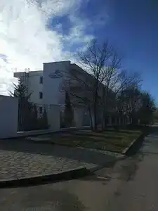 Невский Берег - 44