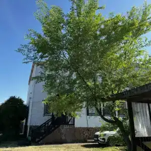 Хуторок - 19