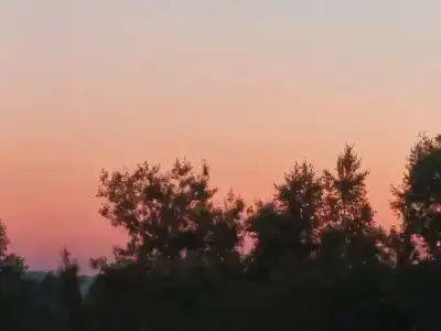 Уют - 28