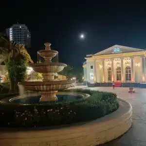 Мира на Курортном - 40