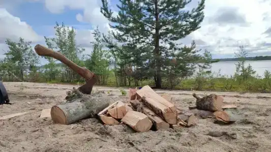 Салонсари - 17