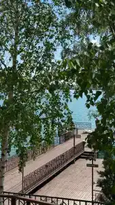 Александрия - 40