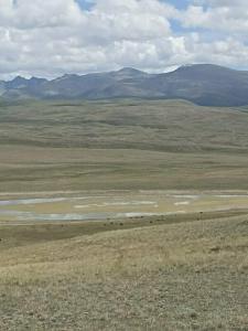 Altay Steppe - 47
