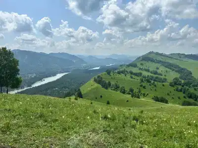 Эдельвейс - 1