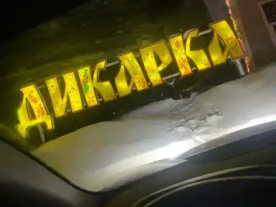 Дикарка - 21